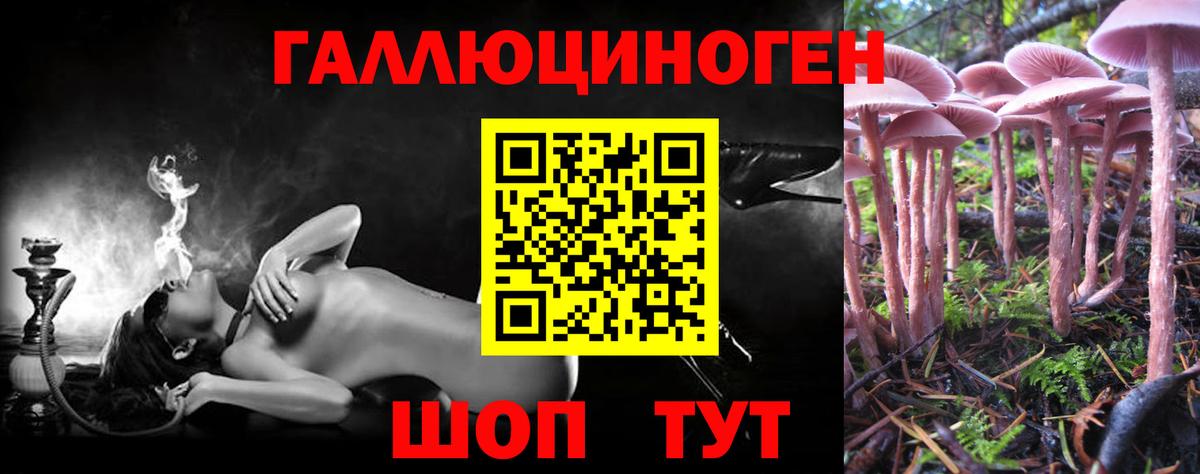 наркота  Псилоцибиновые грибы ЛСД  Вход с VPN  Хасавюрт 